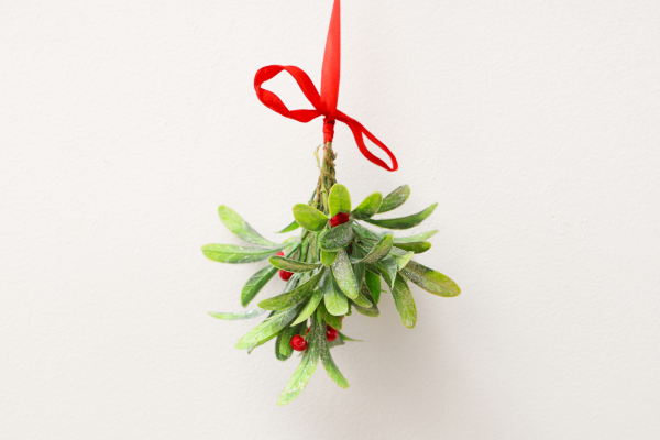 ready for the mistletoe? ankeny ia